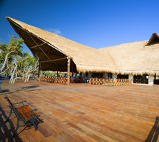 Beach Club   - Occidental Grand Xcaret Resort - All Inclusive Riviera Maya